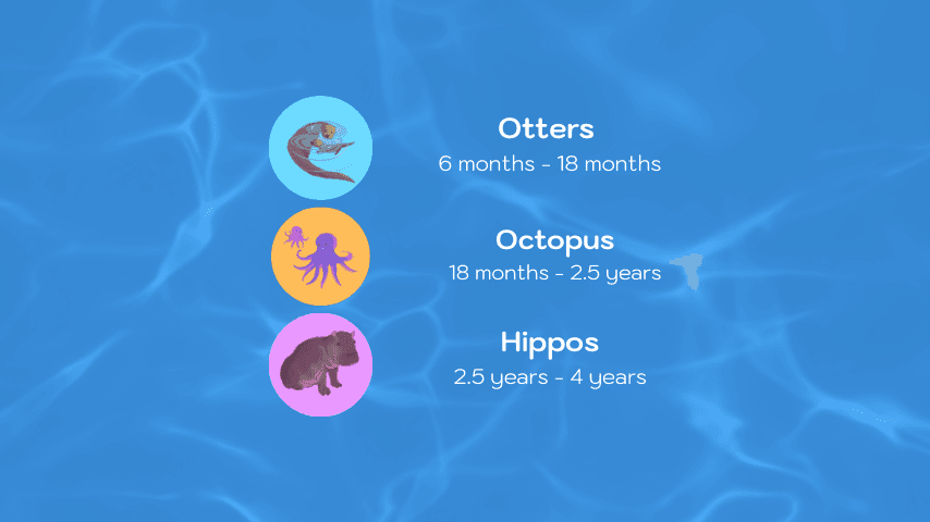 MACPool preschool swimming lessons younger years